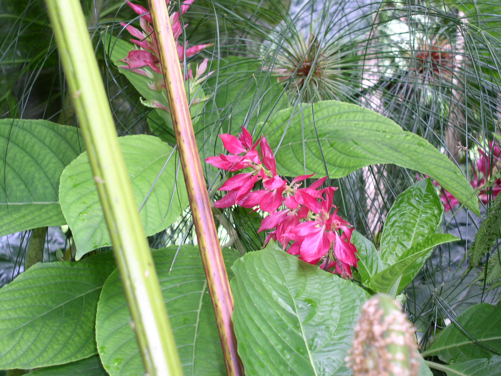 photo1